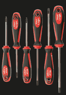 Schraubendreher-Set Pure Torx Inhalt